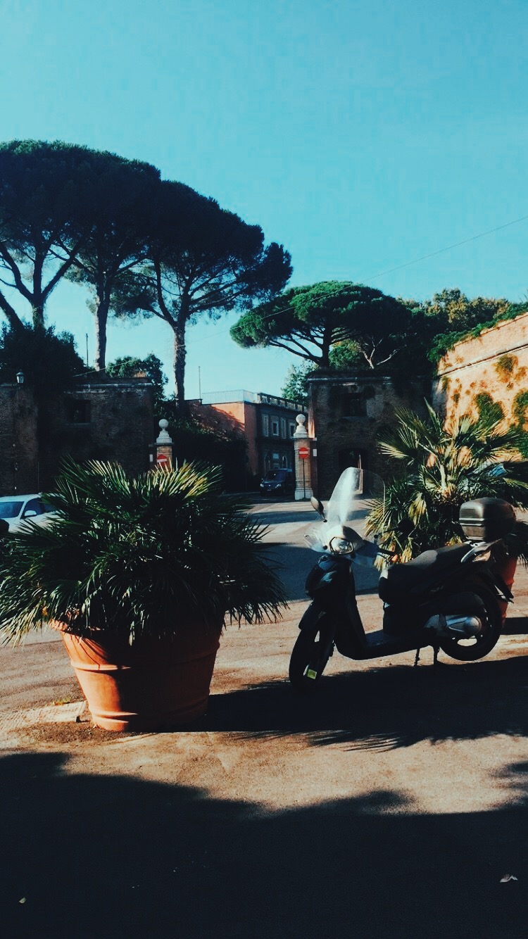 Processed with VSCO with c9 preset